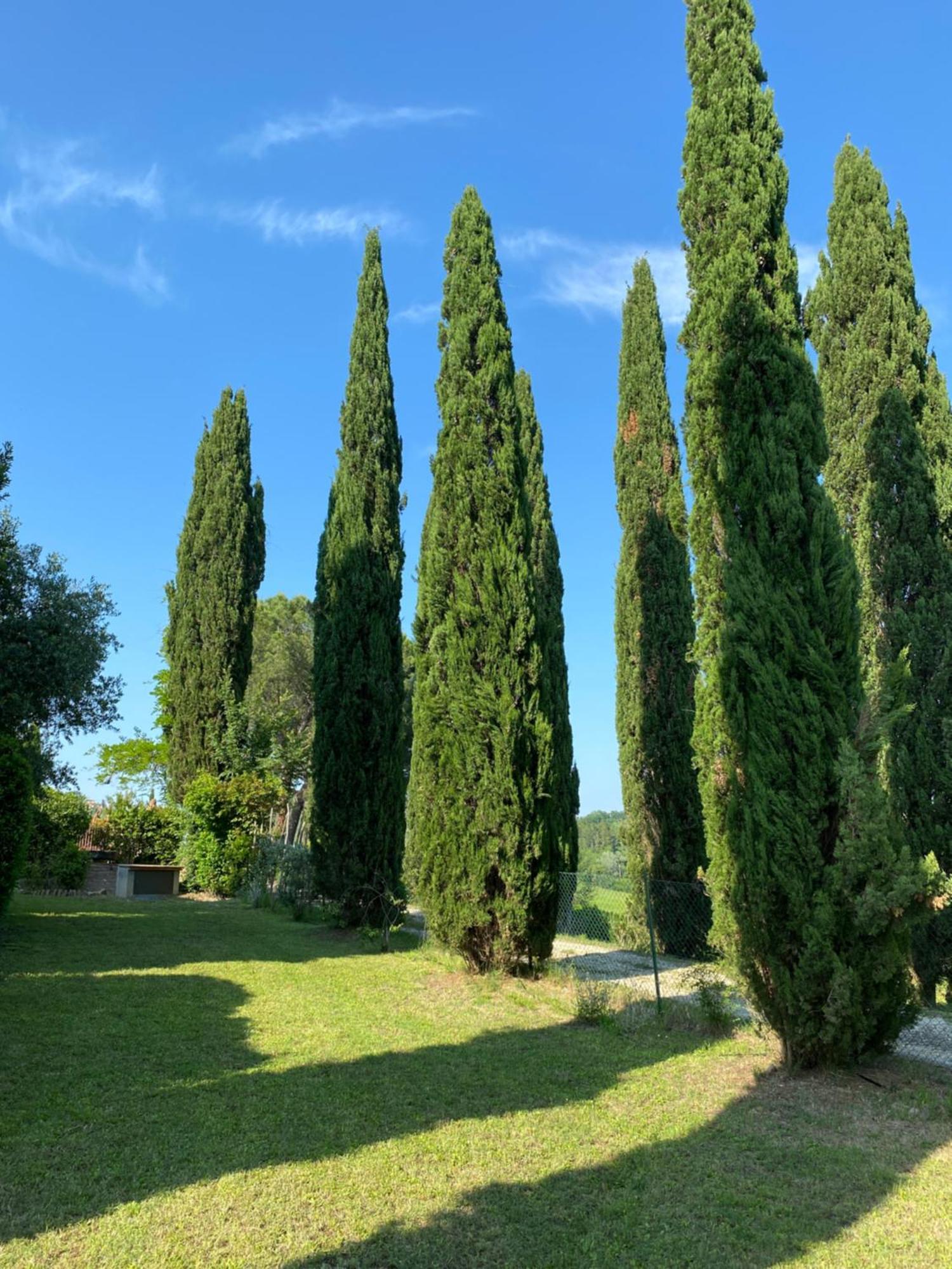 Villa Tre Colli - In The Heart Of Tuscany チェルタルド エクステリア 写真